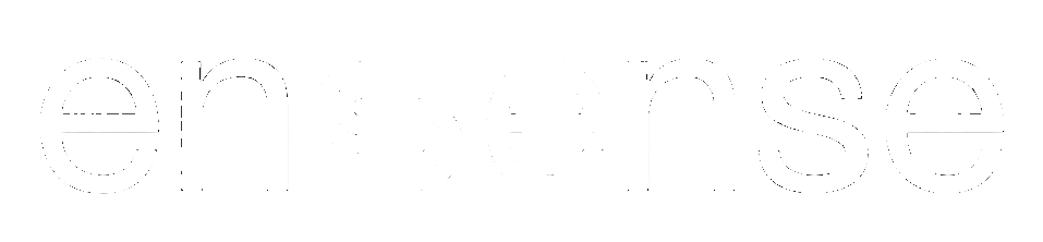Ensense AI